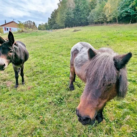 3 Avec Terrasse Proche Alsace *